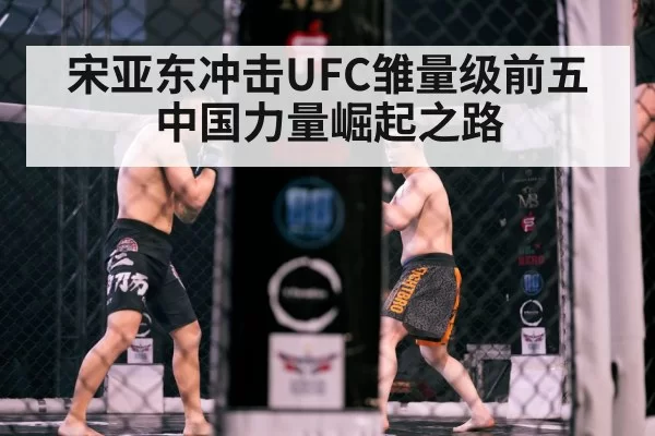 MMA cage fight