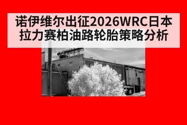 诺伊维尔出征2026WRC日本拉力赛柏油路轮胎策略分析